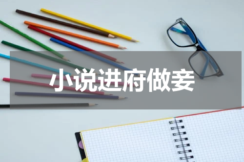 小说进府做妾