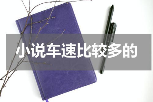 小说车速比较多的