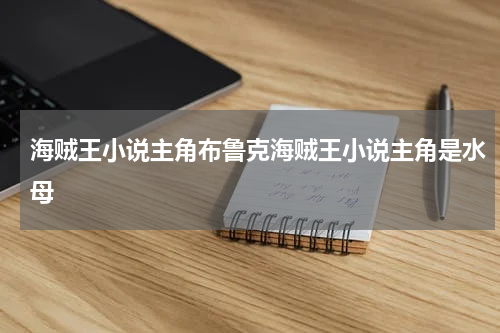 海贼王小说主角布鲁克海贼王小说主角是水母