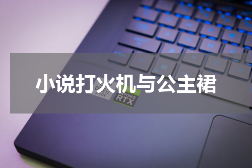 小说打火机与公主裙