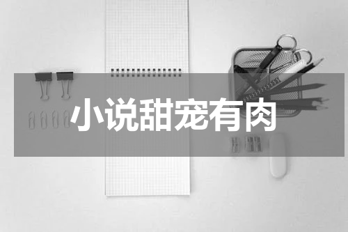 小说甜宠有肉