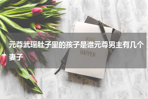 元尊武瑶肚子里的孩子是谁元尊男主有几个妻子