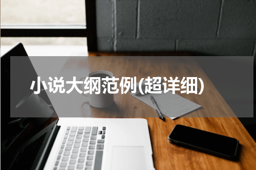 小说大纲范例(超详细)