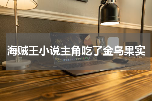 海贼王小说主角吃了金乌果实