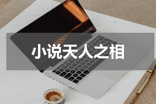 小说天人之相