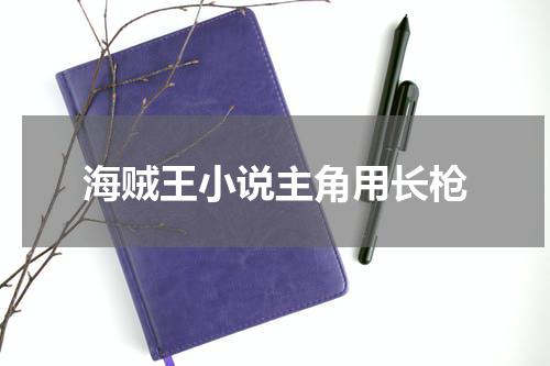 海贼王小说主角用长枪