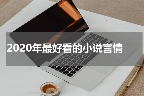 2020年最好看的小说言情