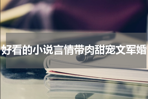 好看的小说言情带肉甜宠文军婚