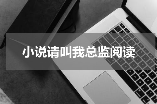 小说请叫我总监阅读