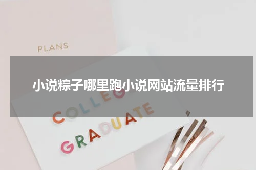 小说粽子哪里跑小说网站流量排行