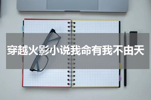 穿越火影小说我命有我不由天