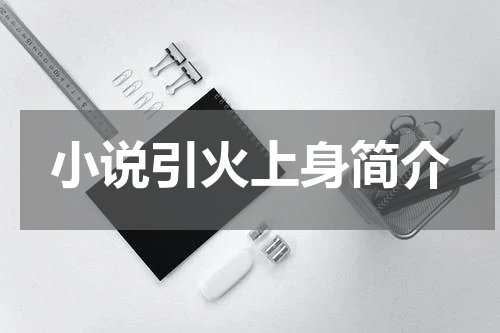 小说引火上身简介