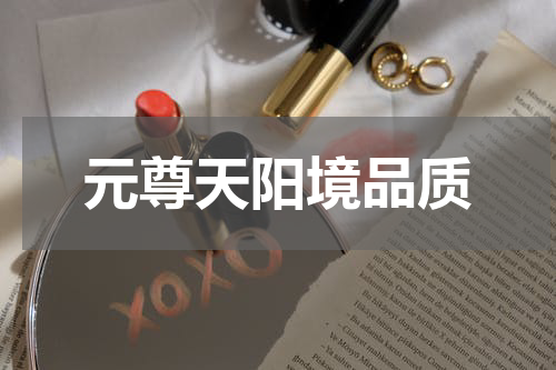 元尊天阳境品质
