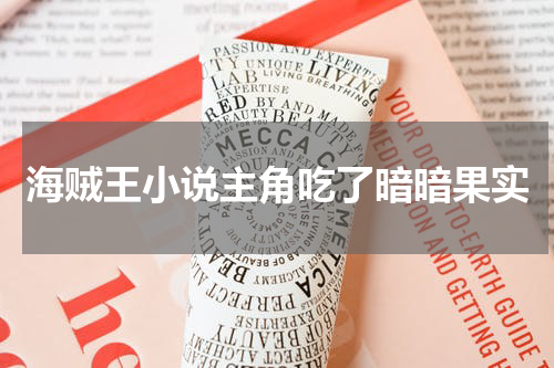 海贼王小说主角吃了暗暗果实