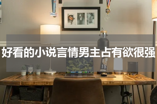 好看的小说言情男主占有欲很强