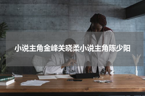 小说主角金峰关晓柔小说主角陈少阳
