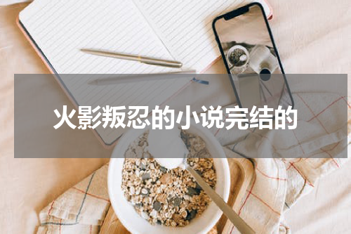 火影叛忍的小说完结的
