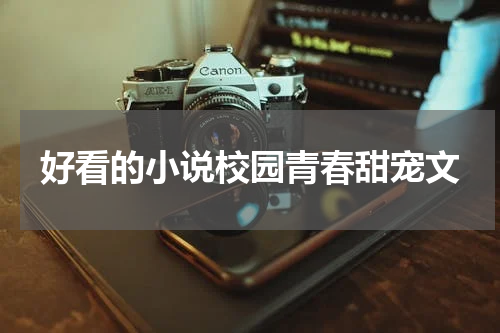 好看的小说校园青春甜宠文