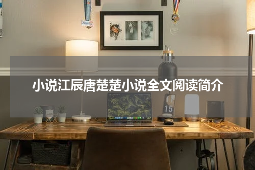 小说江辰唐楚楚小说全文阅读简介