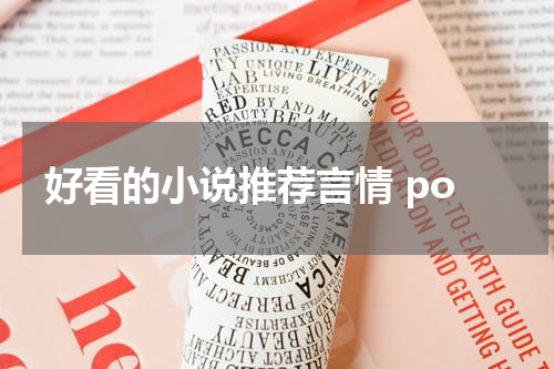 好看的小说推荐言情 po