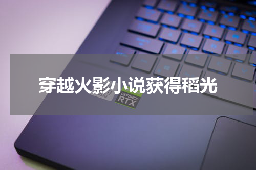 穿越火影小说获得稻光