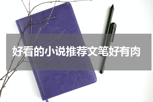 好看的小说推荐文笔好有肉
