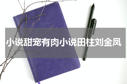 小说甜宠有肉小说田柱刘金凤