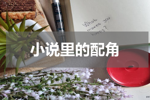 小说里的配角