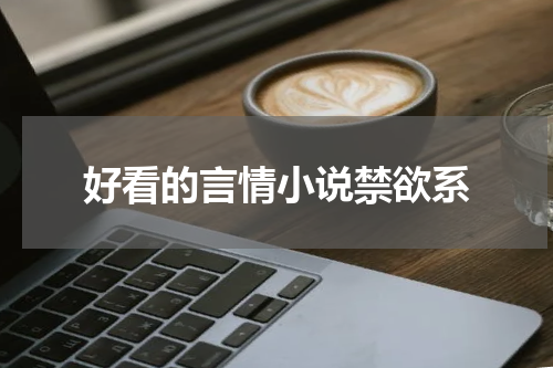 好看的言情小说禁欲系