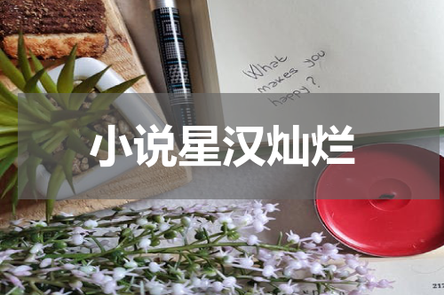 小说星汉灿烂