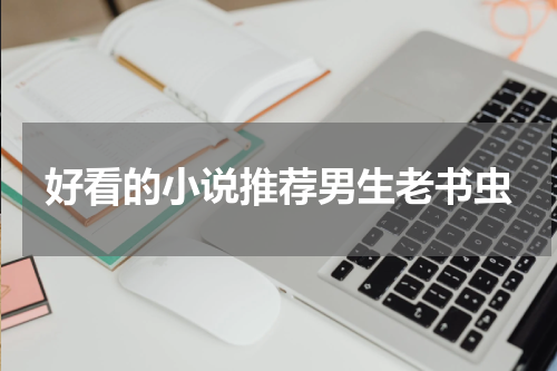 好看的小说推荐男生老书虫