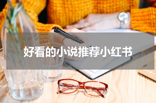 好看的小说推荐小红书