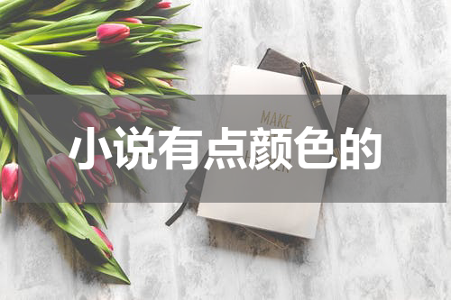 小说有点颜色的