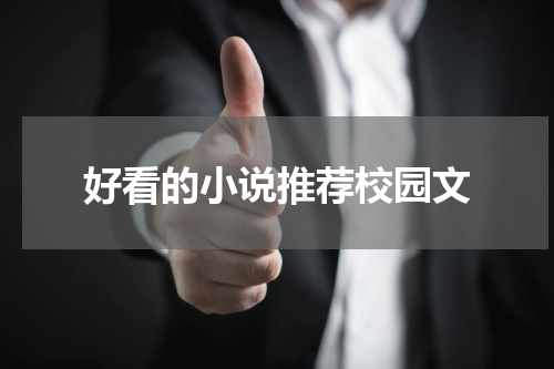 好看的小说推荐校园文