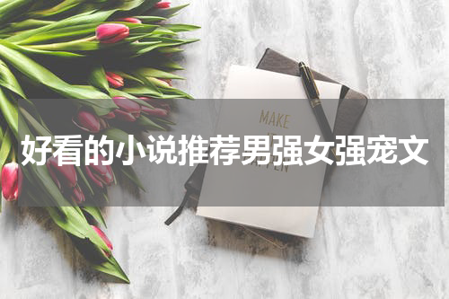 好看的小说推荐男强女强宠文