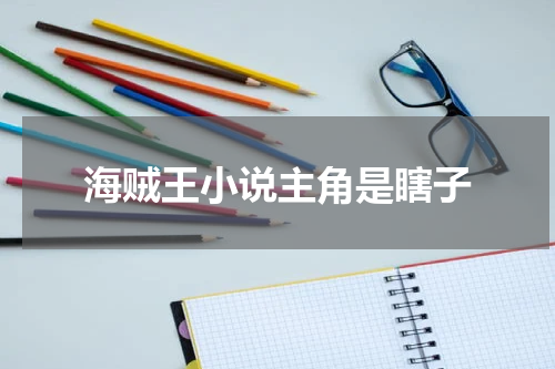 海贼王小说主角是瞎子