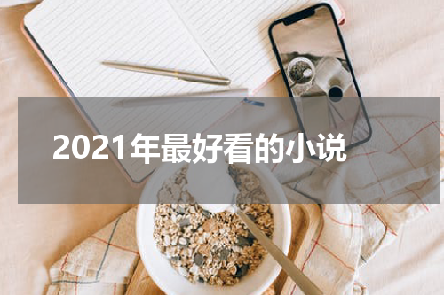 2021年最好看的小说
