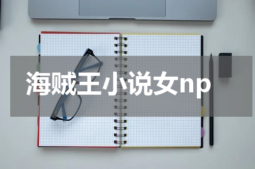 海贼王小说女np