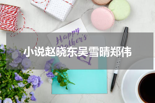 小说赵晓东吴雪晴郑伟