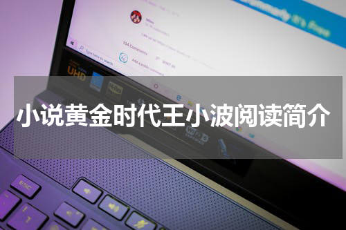 小说黄金时代王小波阅读简介