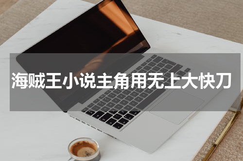 海贼王小说主角用无上大快刀