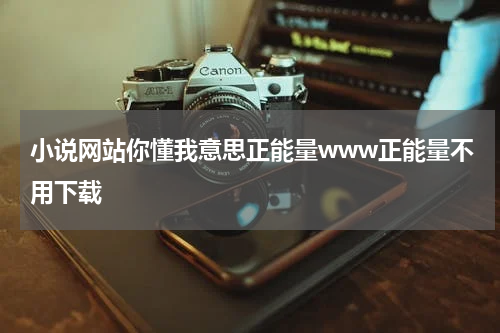 小说网站你懂我意思正能量www正能量不用下载