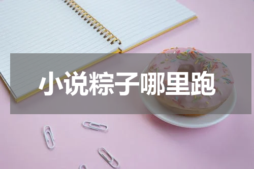 小说粽子哪里跑