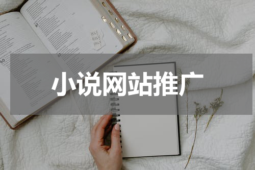 小说网站推广