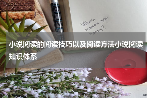 小说阅读的阅读技巧以及阅读方法小说阅读知识体系
