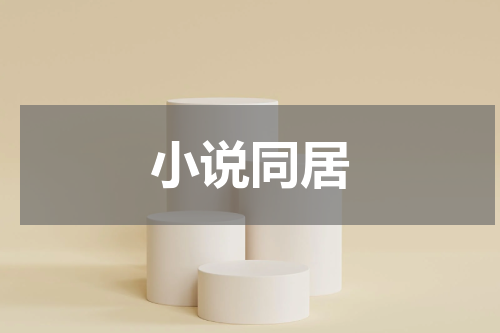 小说同居