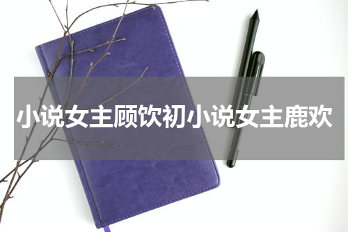 小说女主顾饮初小说女主鹿欢