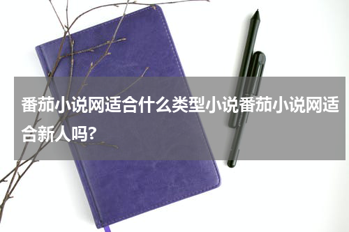 番茄小说网适合什么类型小说番茄小说网适合新人吗?