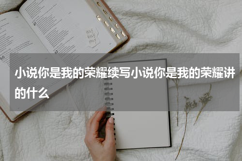 小说你是我的荣耀续写小说你是我的荣耀讲的什么