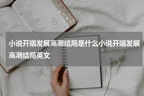小说开端发展高潮结局是什么小说开端发展高潮结局英文